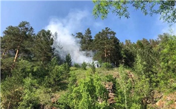 Красноярец дал ребенку пострелять из ракетницы и устроил пожар