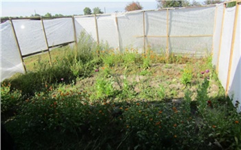 Житель Красноярского края получил условку за выращивание наркотиков для самолечения