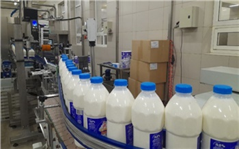 В Красноярском крае стартовал отбор на субсидии для переработчиков молока