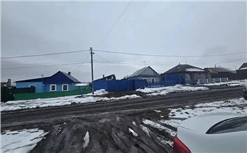 В Ужуре завели дело после нападения агрессивного алабая на женщину