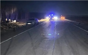 В Красноярском крае трое подростков на ВАЗе погибли в ДТП с лошадью