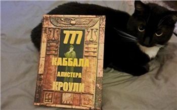 Житель Кемерова продает волшебного кота за 777 777 рублей