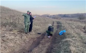 Семья погибшего от собак мальчика в Красноярском крае получит компенсацию в 3 раза меньше запрошенной