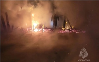 Два человека погибли при пожаре в Назарове. Предполагается поджог