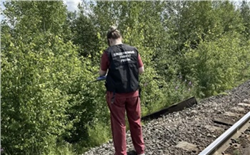 В Ачинске обнаружено тело пропавшей вместе с мамой 5-летней девочки