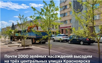 На трех центральных улицах Красноярска высадят почти две тысячи деревьев и кустарников