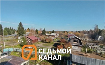 Медведь продолжает терроризировать жителей СНТ Сокол в Красноярском крае