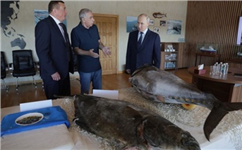 Стало известно, какую икру Путин вывез с Итурупа