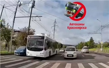 Красноярскую автоледи накажут за опасный маневр благодаря видео из соцсетей