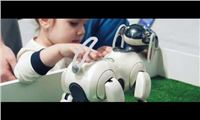 С 24 июня! «Робополис» — выставка роботов! 0+