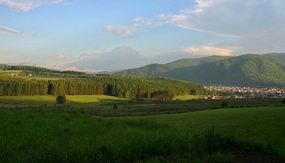 Сотрудница «Красноярского лесничества» поможет вам подобрать здесь неплохой участок