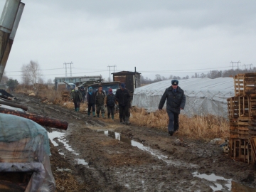 Под Красноярском задержали 17 нелегальных овощеводов из Китая (видео)