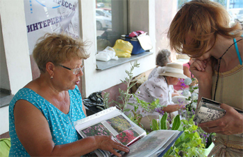 Программа выставок цветов и осенних фестивалей в районах города