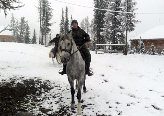 Тувинские лошади заступают на службу в горнострелковые подразделения ЦВО