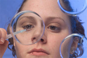 Изысканно-взыскательные изыскания