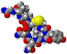 3-х мерная модель гормона окситоцина