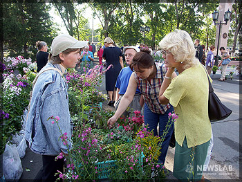 Выставка красноярских садоводов и огородников «Сады Сибири-2005»