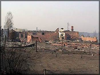 После пожара, произошедшего на территории садовых обществ «Строитель» и «Кооператор» в Минусинском районе