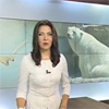Символ красноярского зоопарка белый медведь Седов переехал в Геленджик 