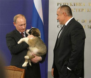 Путин попросил россиян помочь придумать кличку для его новой собаки