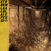 Thee Silver Mt Zion Memorial Orchestra “Kollaps Tradixionales”