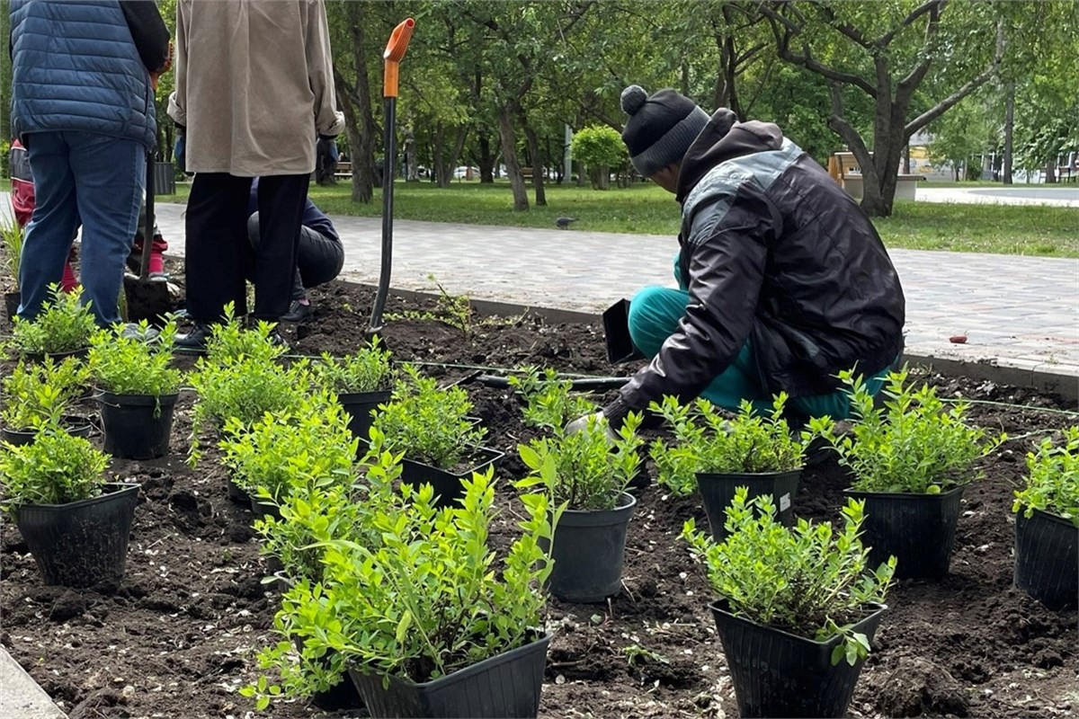 парк в покровке красноярск