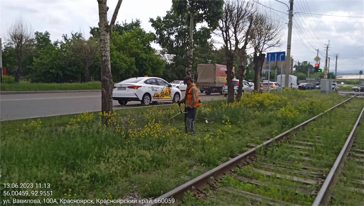 Мэрия просит красноярцев потерпеть шум от покосов травы | 13.06.2023 |  Красноярск - БезФормата