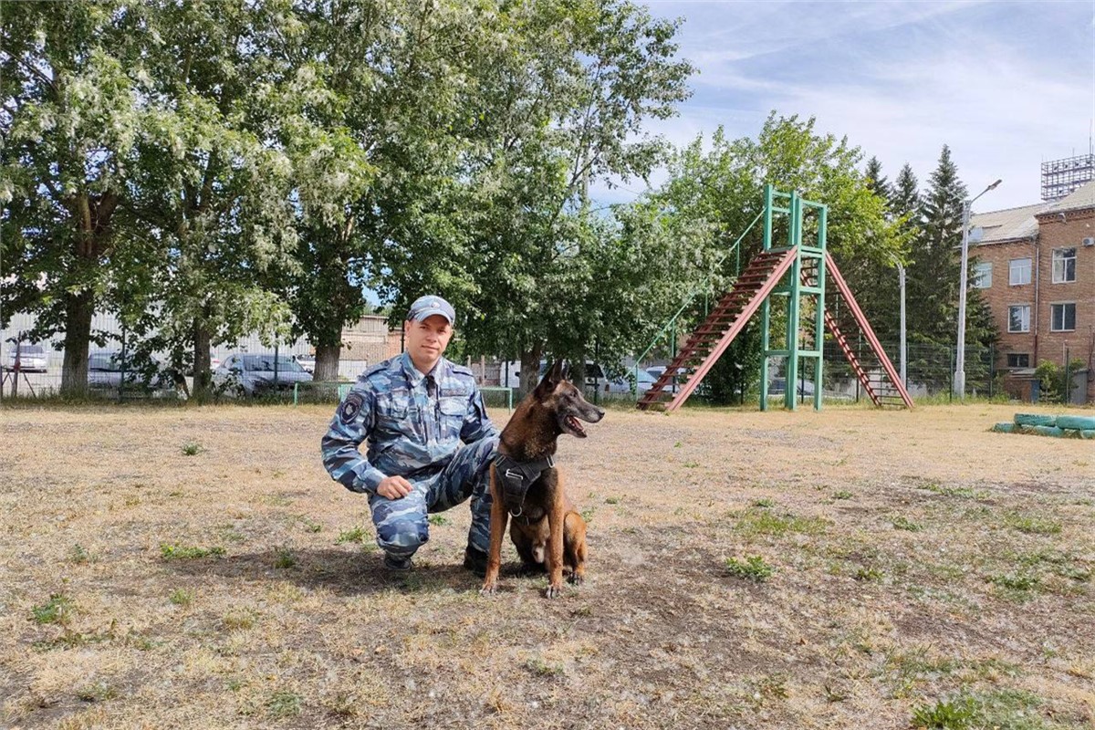 В Ачинске полицейский пес по кличке Зиггер помог найти подозреваемого в  преступлении (видео) | 21.06.2023 | Красноярск - БезФормата