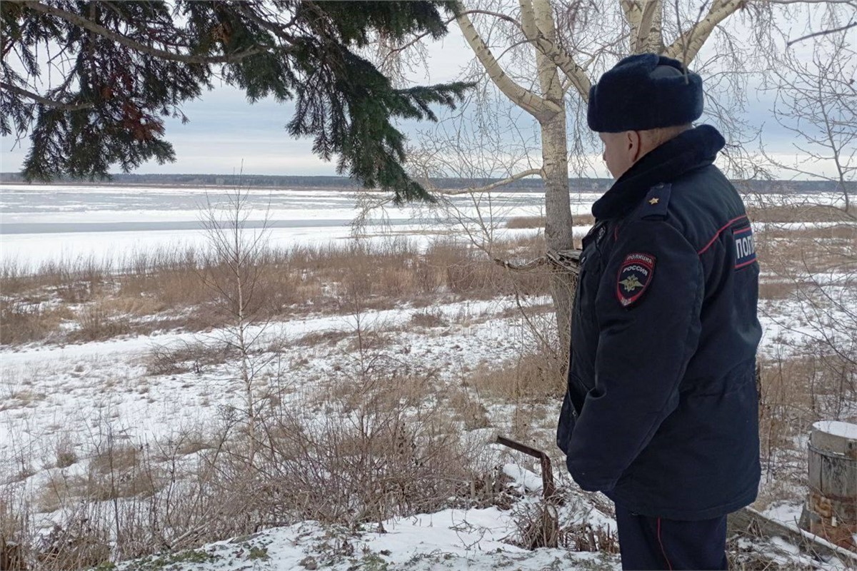 В Енисейске к людям вышла обессилевшая рысь (видео) | 29.11.2023 |  Красноярск - БезФормата