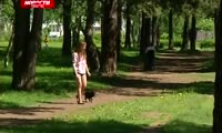 В Красноярске появится собачья аллея славы
