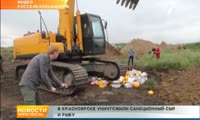 Санкционный сыр и рыбу уничтожили в Красноярске