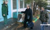 В Красноярске водитель-дальнобойщик сдал в «Роев ручей» полярную сову