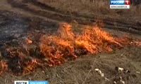 Красноярские огнеборцы, тушившие пожары в Иркутской области и Бурятии, остались без денег