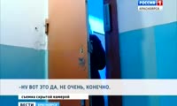 Красноярец держит в городской квартире 11 собак