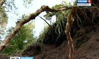 Владелец земли в дачном посёлке уничтожил часть охранной зоны заповедника «Столбы»