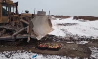 Польские яблоки под гусеницами бульдозера