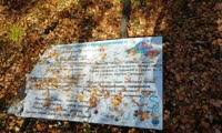 При благоустройстве эко-парка рабочие уронили плакат, призывающий охранять березовую рощу