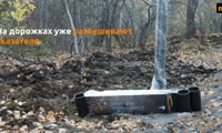 В Красноярске на месте леса у СФУ появился эко-парк «Гремячая грива» 