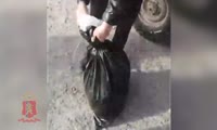 В Партизанском районе полицейские выявили факт незаконной добычи сибирской косули