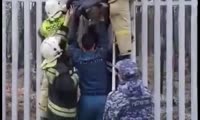 Пожарные снимают мужчину, который застрял на заборе в Железногорске