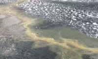 Масляное пятно появилось на водохронилище Богучанской ГЭС