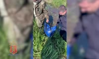 В Красноярском крае полицейские совместно с инспекторами охотнадзора задержали подозреваемых в незаконной добыче трех косуль