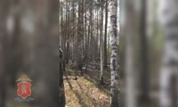 Предпринимателя из Красноярского края осудят за незаконную рубку леса