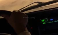 Жители Норильска гоняли песца на машине по ночной трассе