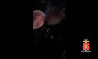 Допрос по краже арбузов в Ачинске