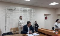 Суд заключил под стражу на 2 месяца руководителя общественной организации защиты животных «Мой пёс» 