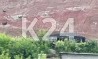 Жители Черемушек пожаловались на большую стаю бездомных собак 