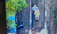 В Лесосибирске пропавших грибников нашли с помощью беспилотника 