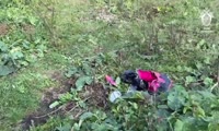 Оперативное видео с осмотра места нападения медведя на жительницу  деревни Верхний Кебеж 