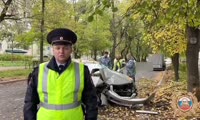 В Железногорске водитель Honda сбил мужчину с детьми и врезался в дерево